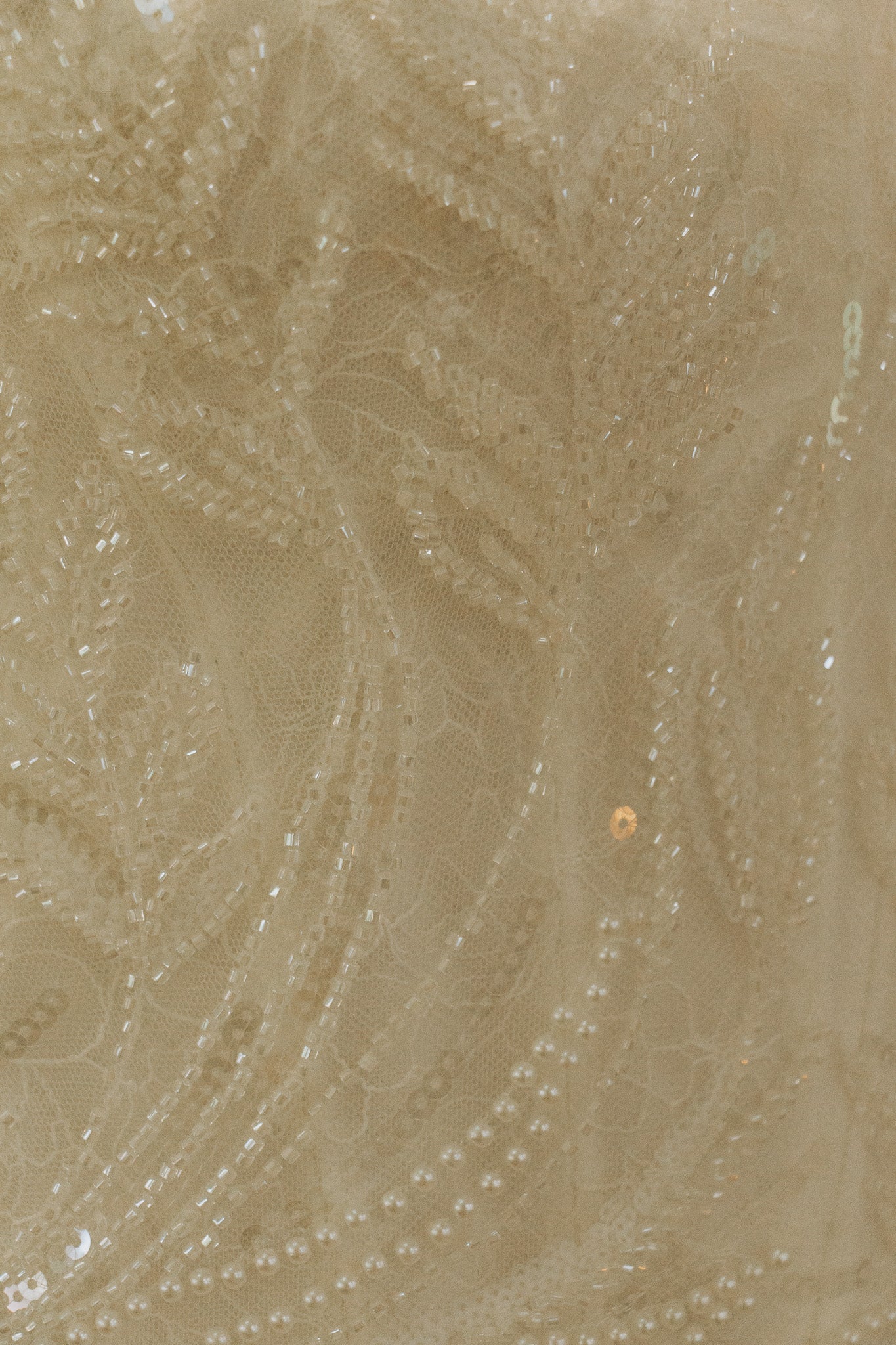 Ana - Image 5