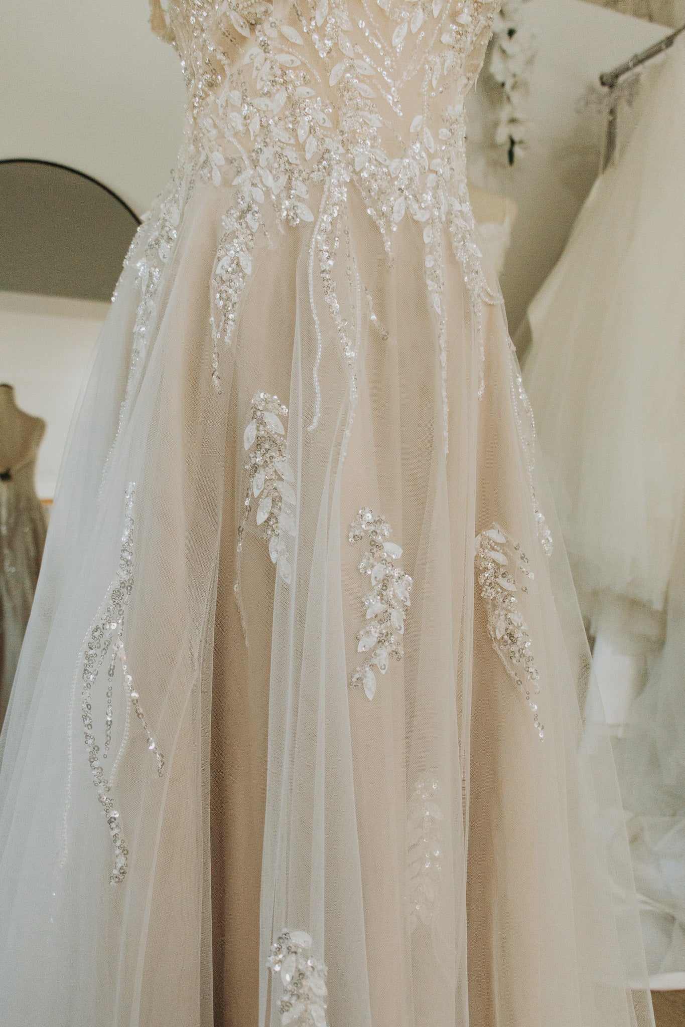 Cherish - Image 3